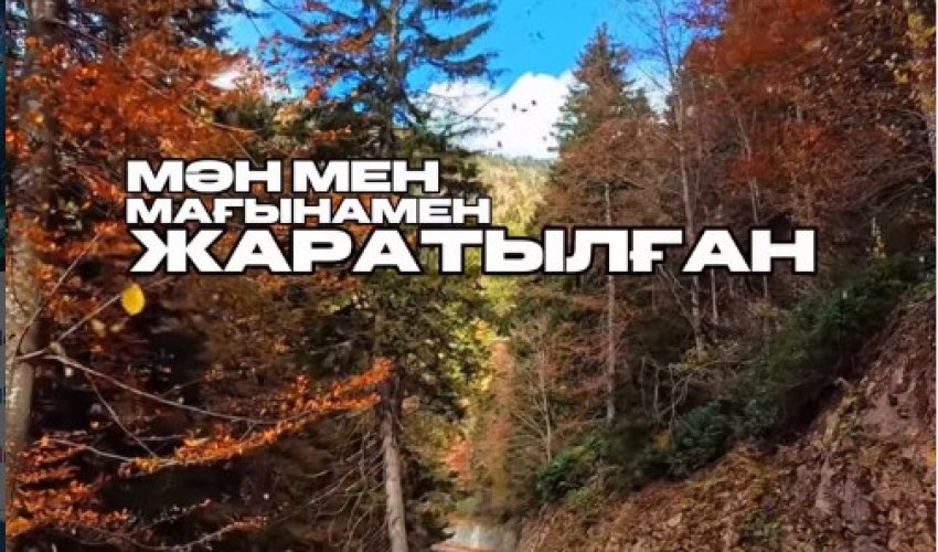 Барлық нәрседе мән бар!