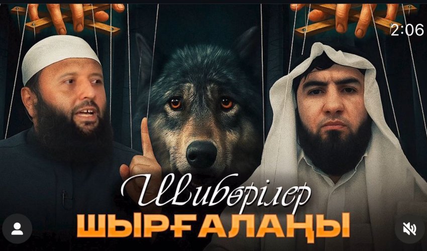 Шибөрілер шырғалаңы