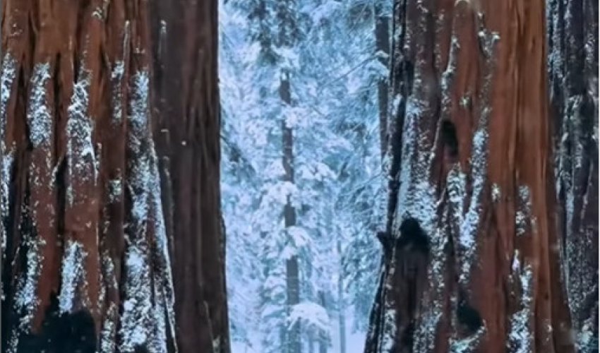 ЖАҚСЫ АДАМ КІМ?