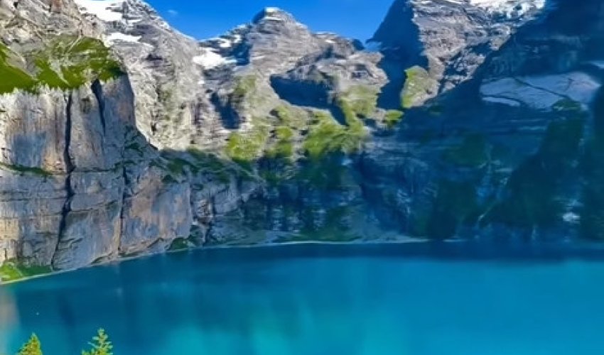 АДАМНЫҢ ЖҮРЕГІ БӨЛЕК, ТІЛІ БӨЛЕК БОЛСА…