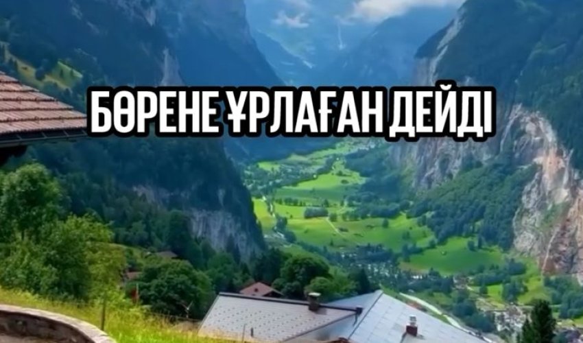Бөрене ұрлаған-бөрене бойы жер қазады