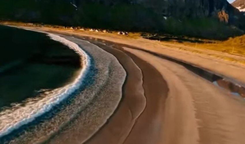 Сұңқар жан-жағына шашып жейді