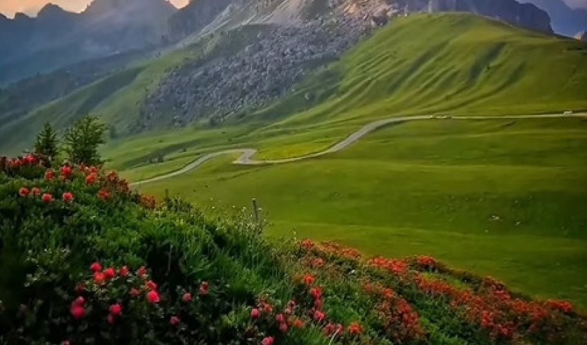 Мал құлағы саңырау…