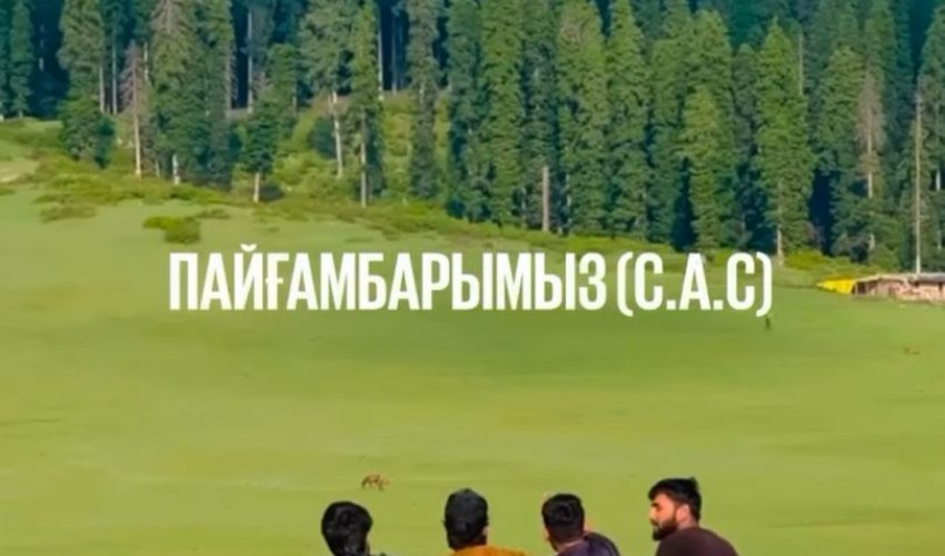 Ағайынмен араласу