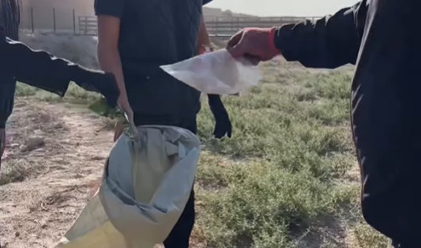 Түркістанда «Таза Қазақстан» акциясы аясында кең көлемді сенбілік өтті