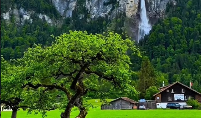 ЕРКЕКТІҢ МЫҚТЫЛЫҒЫ НЕМЕН?