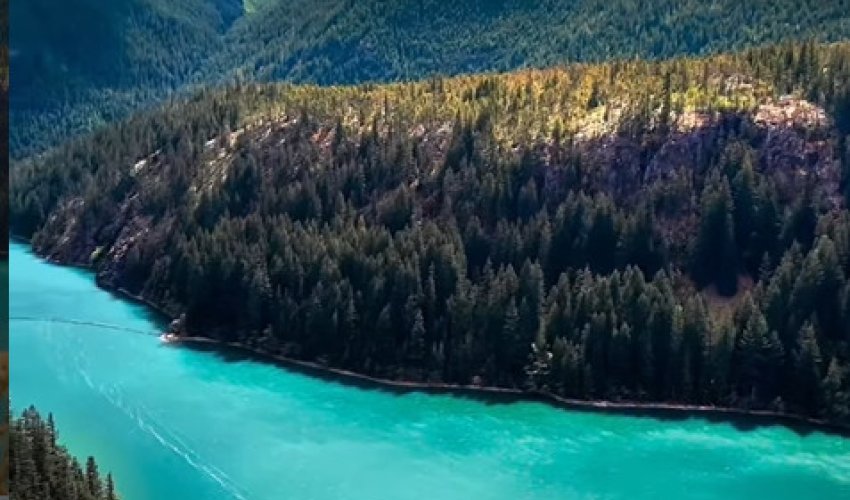 Біз тәуекел ете алмаймыз…