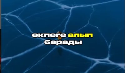 СЫНИ ОЙЛАЙ АЛАТЫН АДАМ