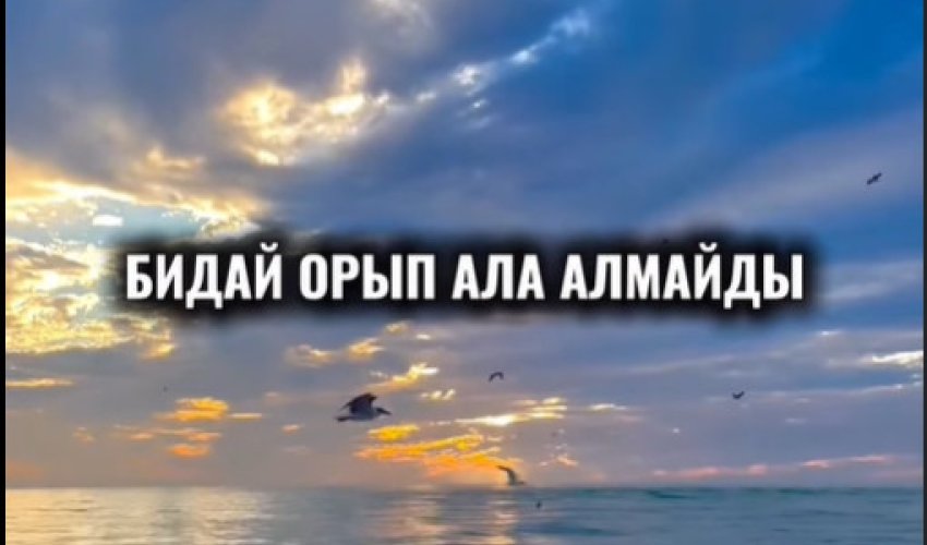 Тікенек еккен адам- БИДАЙ ОРЫП АЛА АЛМАЙДЫ!