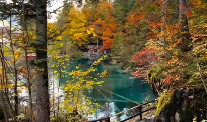 Қайғысыз ішкен қара судың өзі – ТӘТТІ!