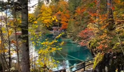 Қайғысыз ішкен қара судың өзі – ТӘТТІ!