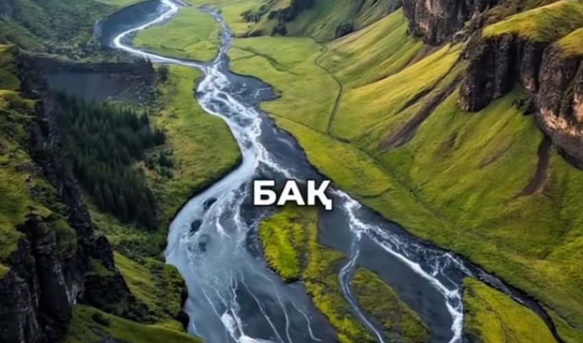 Бақ пен сор – көшпелі