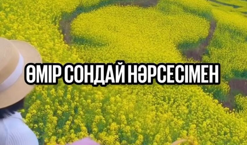 Өмір - бірде суық, бірде ыстық!
