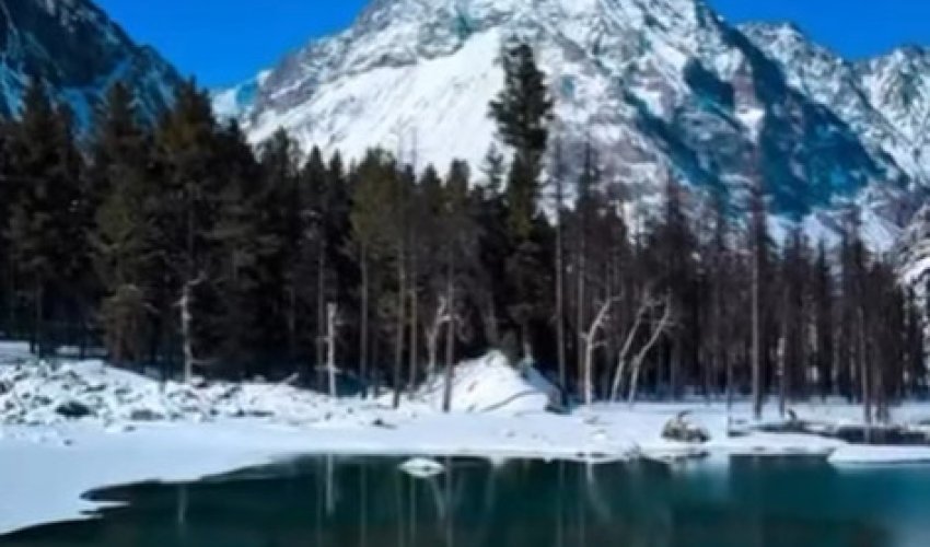 АРМАН – ТЕК БАСТАМА!