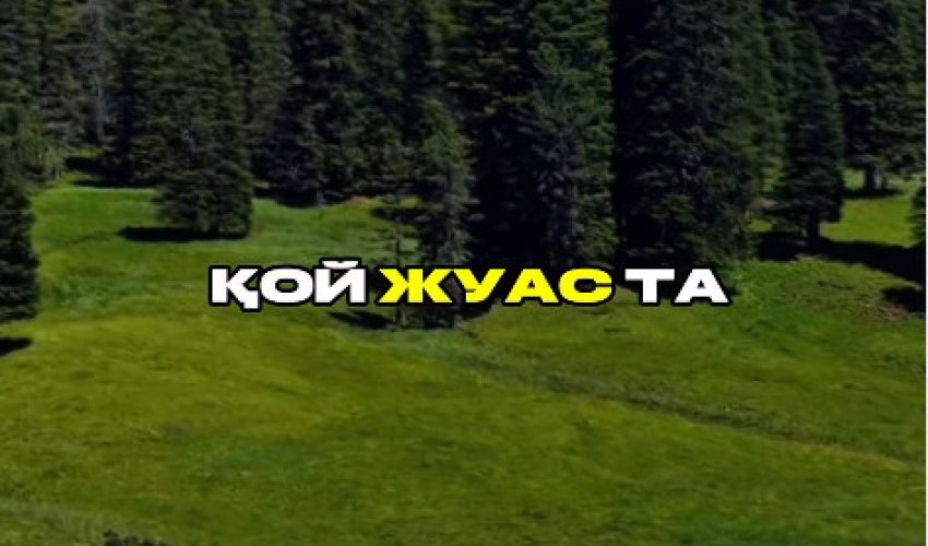Бір балаң жуас болса…