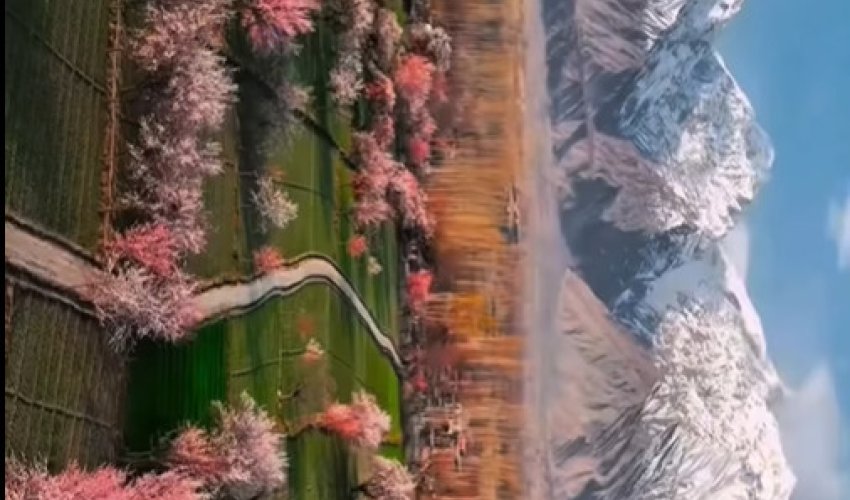 Стресске не үшін түсеміз?