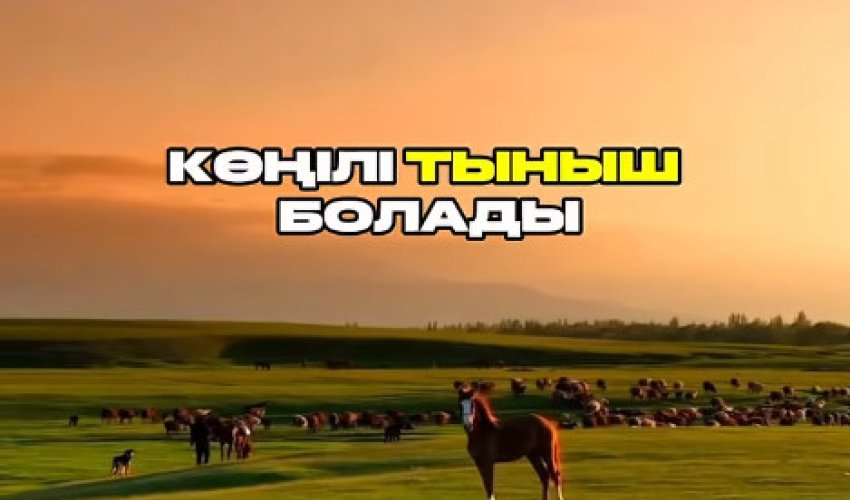 МӘРТӘБЕСІ БИІК ЖІГІТ
