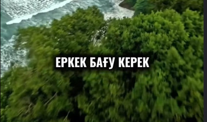Еркек мал таппаса…