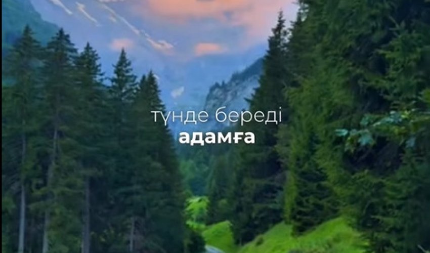 Адам боп қалу қиын…